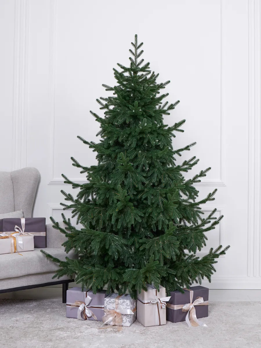 Sapin de Noël Cedar