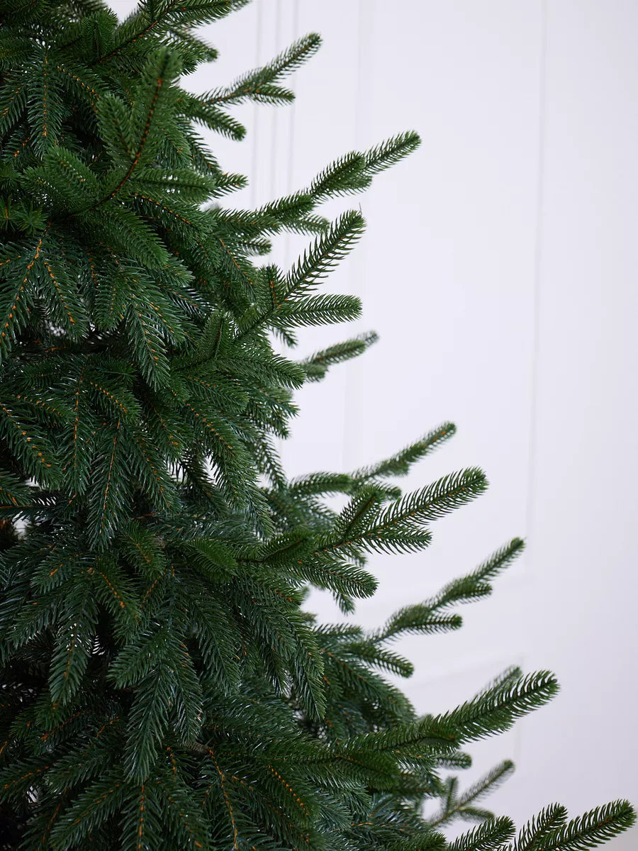Sapin de Noël Cedar