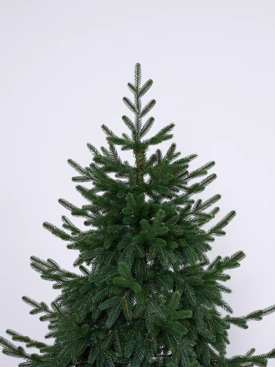 Sapin de Noël Cedar
