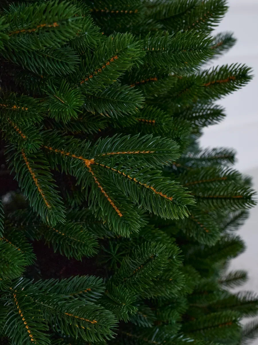 Sapin de Noël Alpin