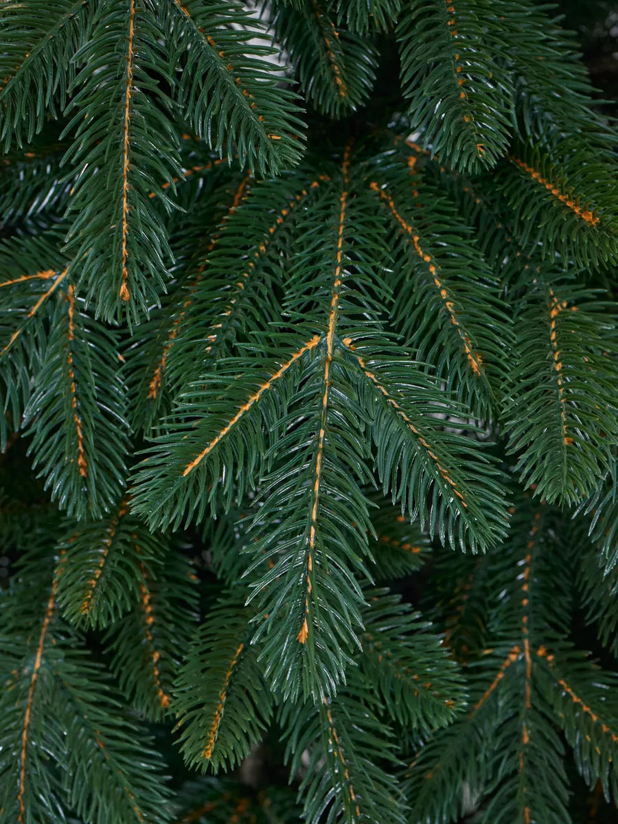 Sapin de Noël Alaska