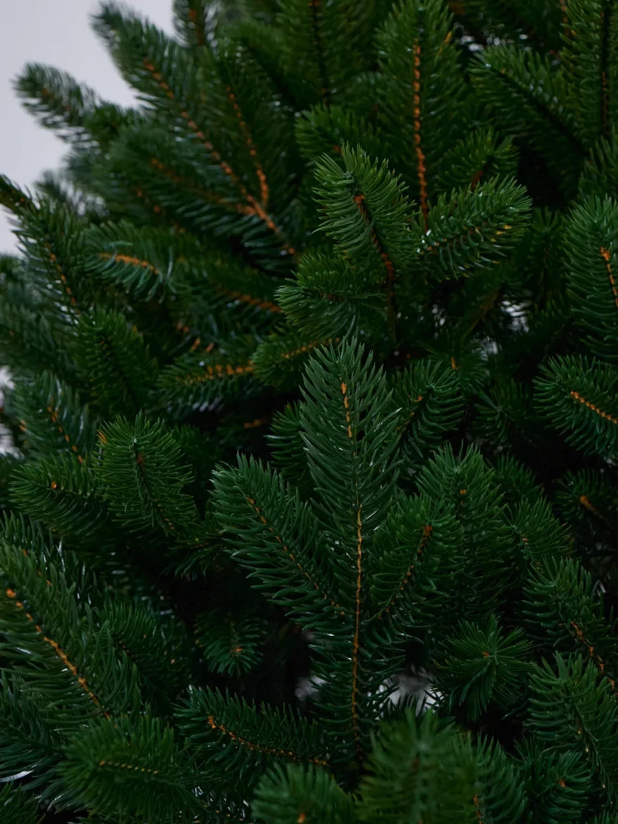 Sapin de Noël Alpin