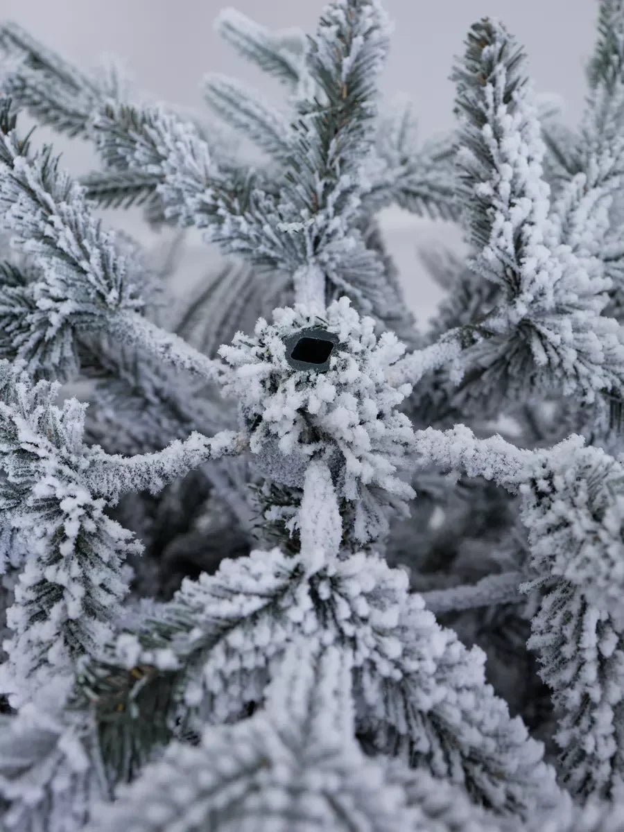Sapin de Noël Versailles enneigé