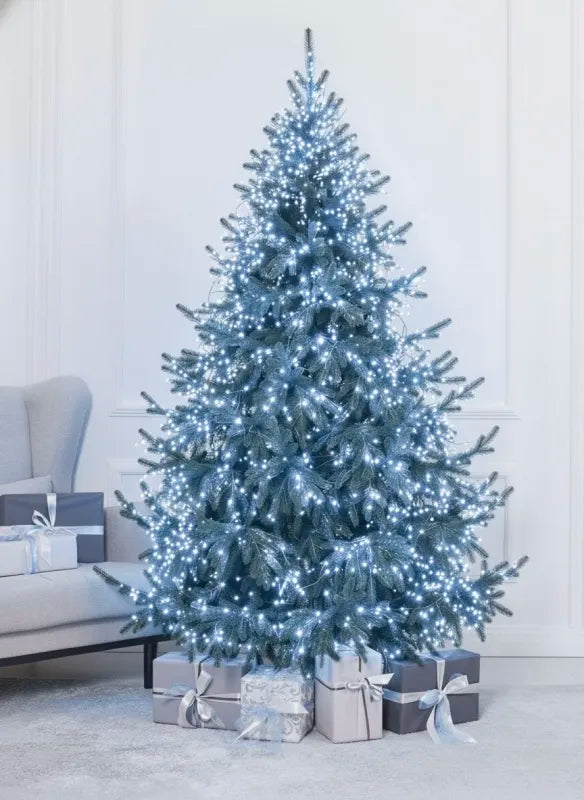 Sapin de Noël Cedar